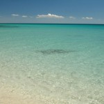 mare_campomarino